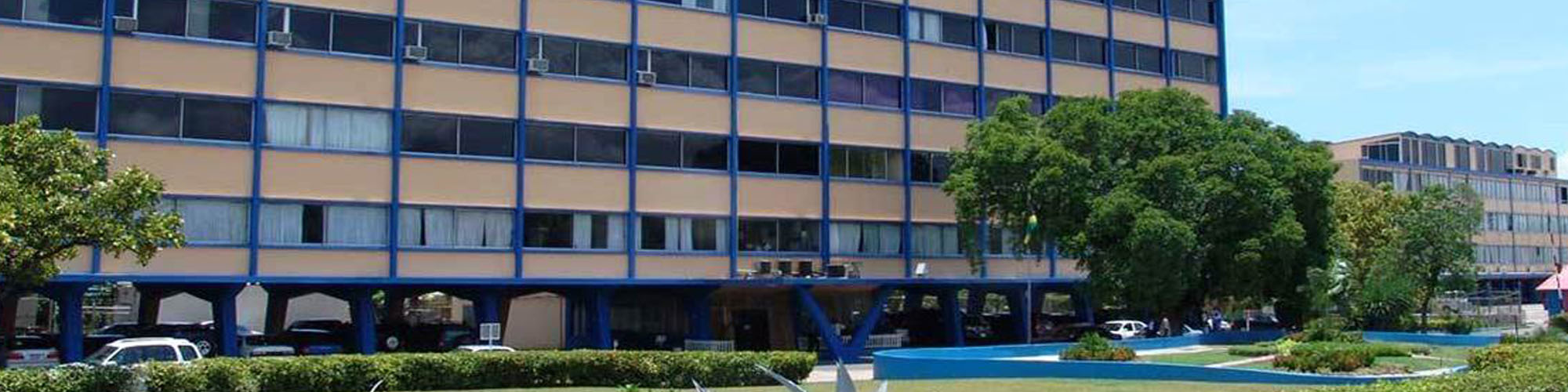 Image1